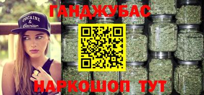 молекула духа Будённовск