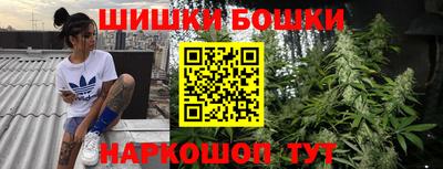 молекула духа Будённовск